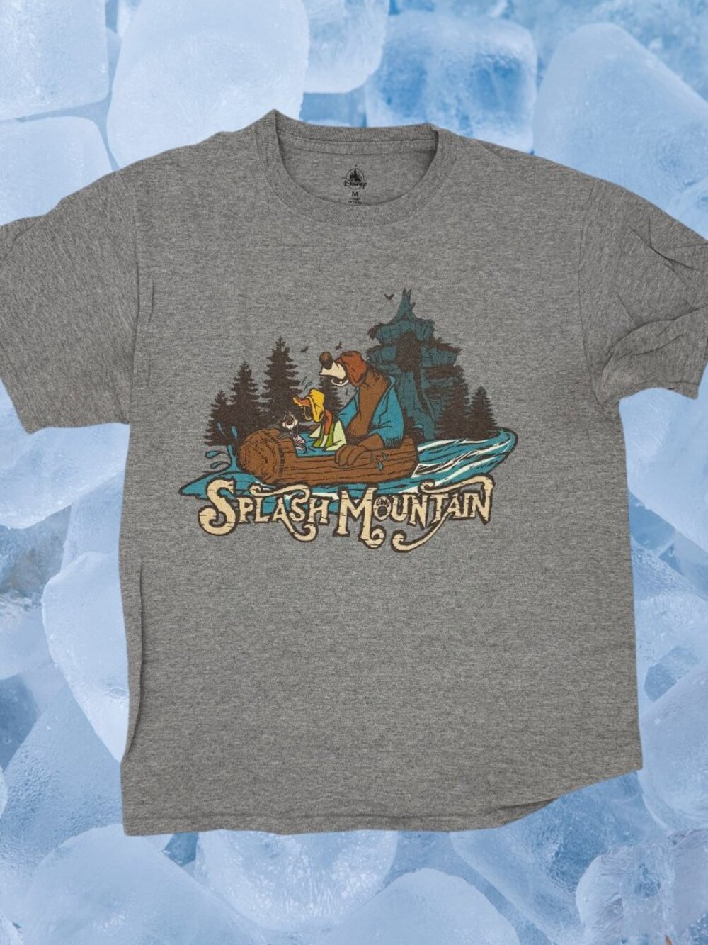 Disney Splash Mountain T Shirt Size M Hidden Message When Wet Gray Graphic